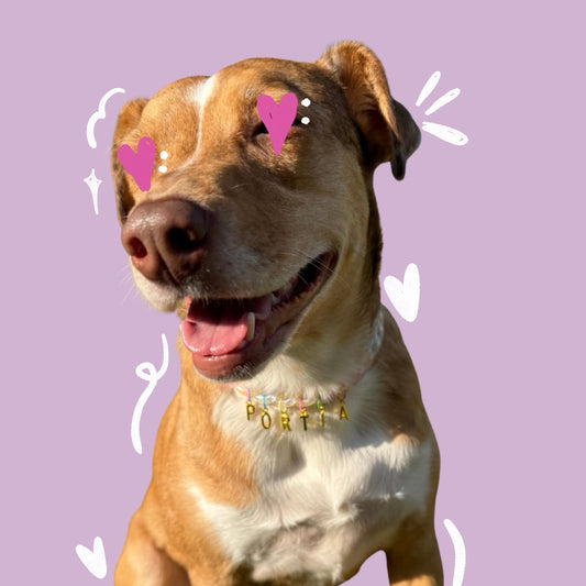 Chain Dog Necklace