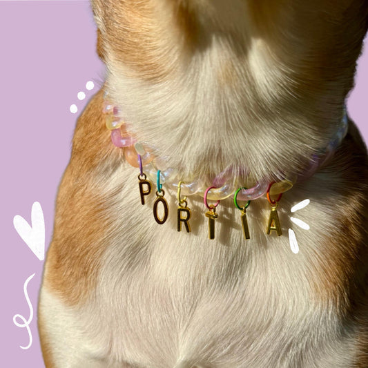 Chain Dog Necklace