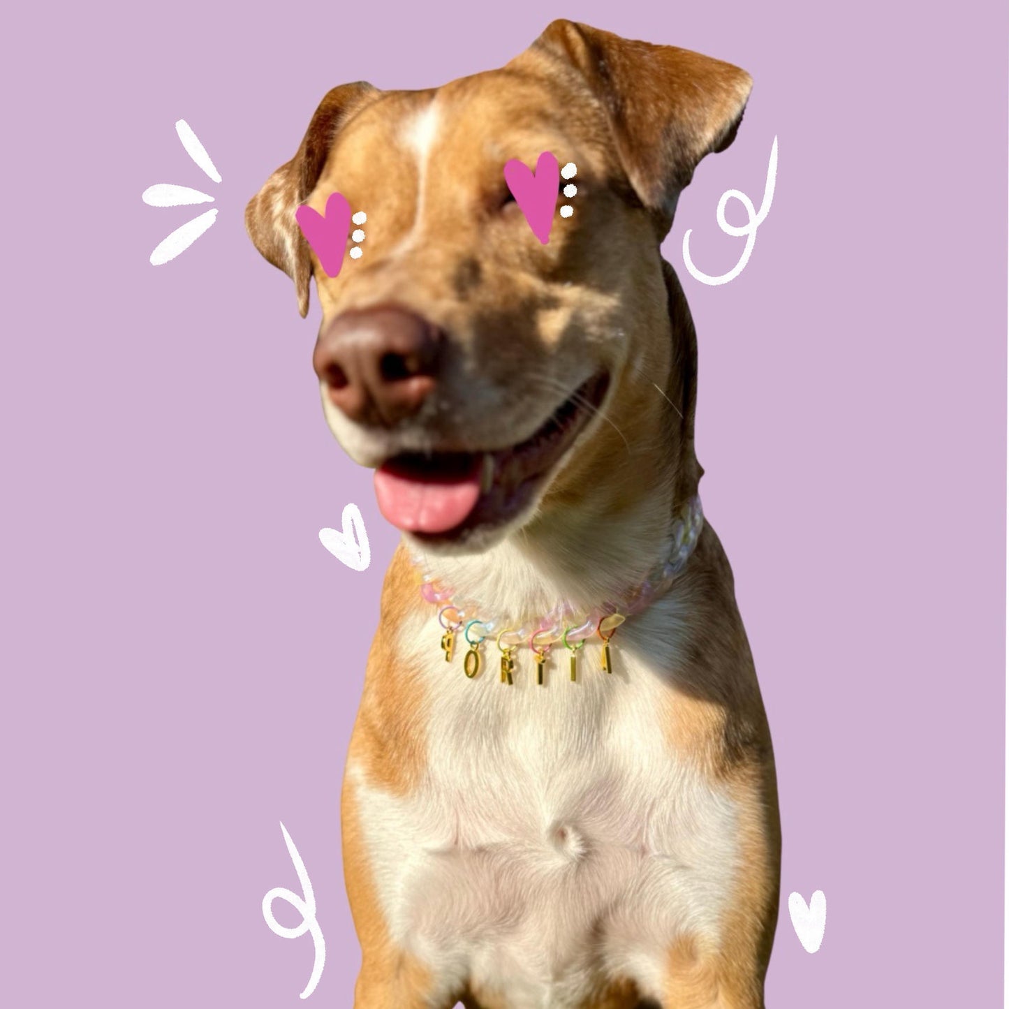Chain Dog Necklace