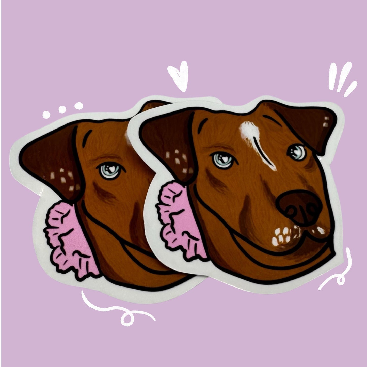 Pet face stickers