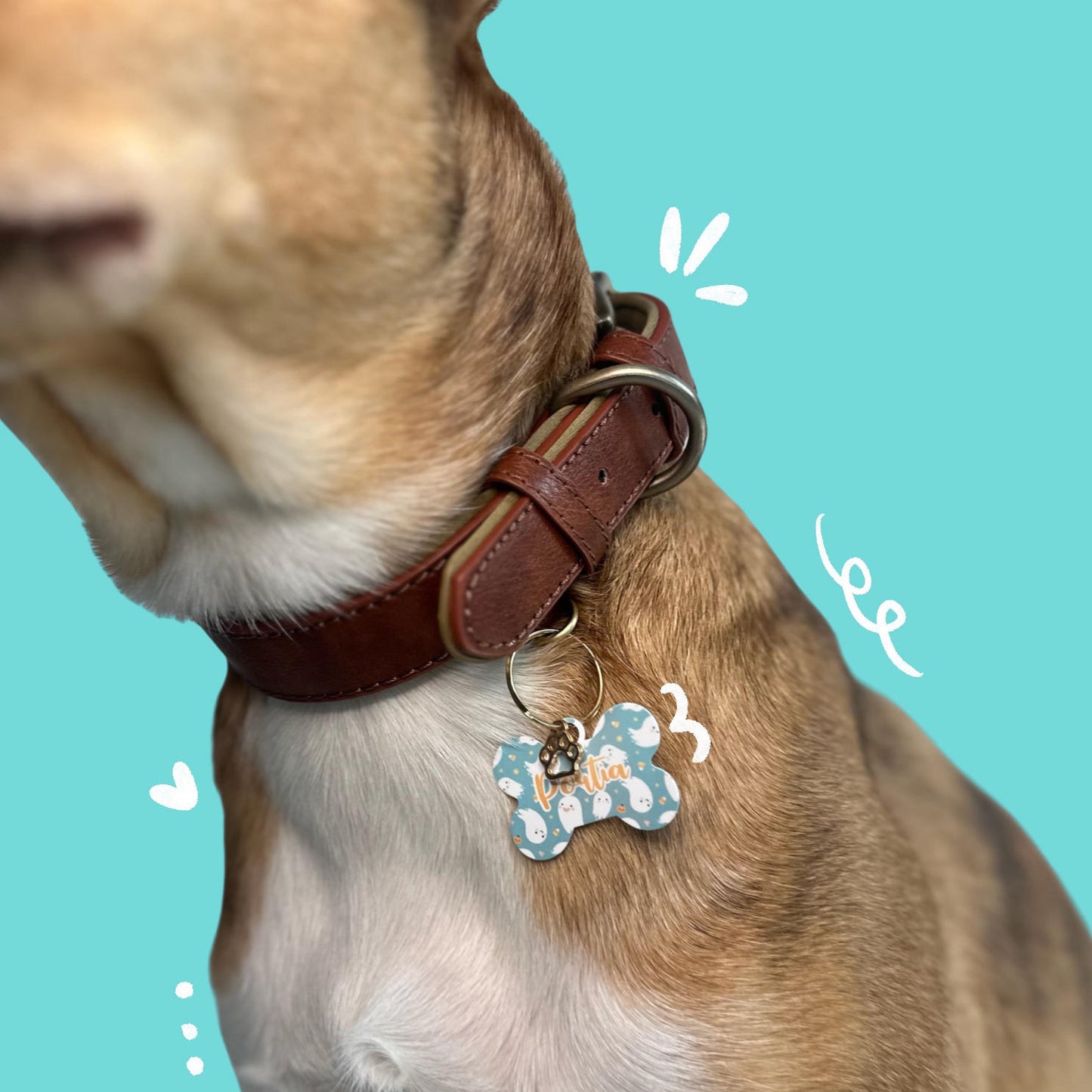 Dog Collar