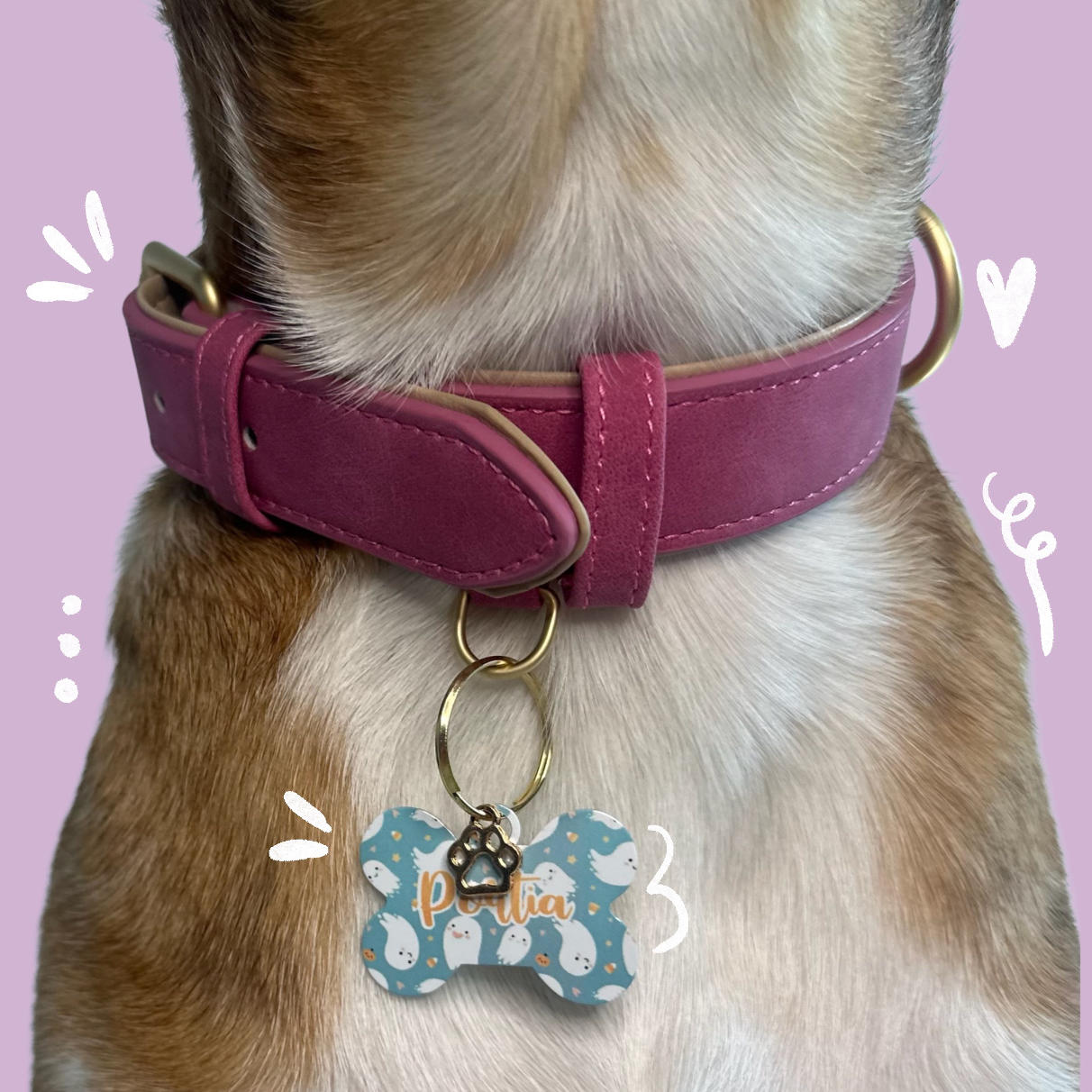 Dog Collar