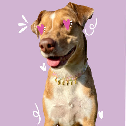 Chain Dog Necklace