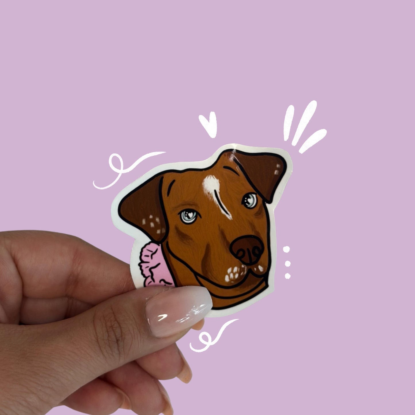 Pet face stickers