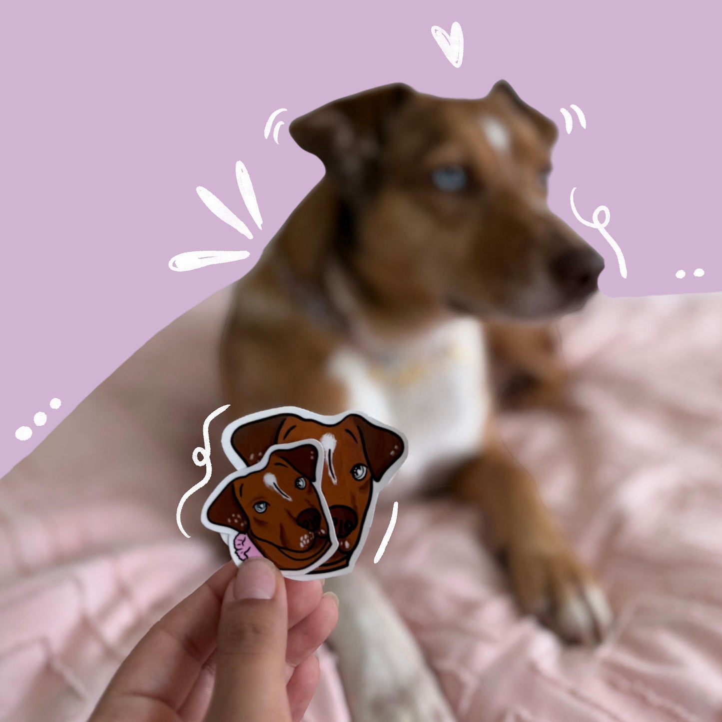Pet face stickers