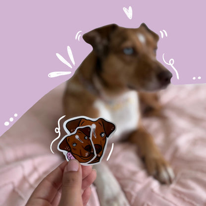 Pet face stickers