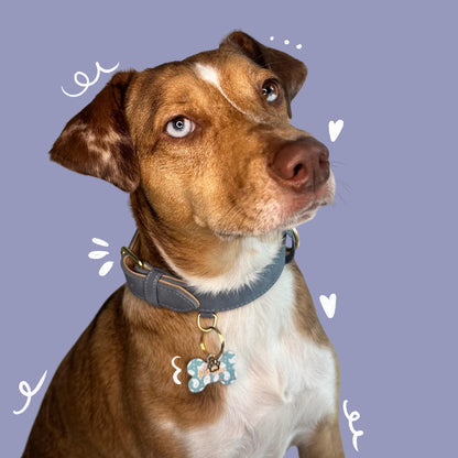Dog Collar