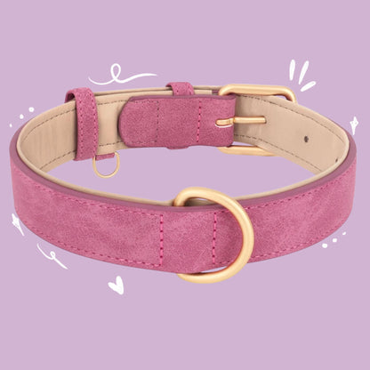Dog Collar